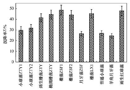 圖片關(guān)鍵詞 圖片關(guān)鍵詞