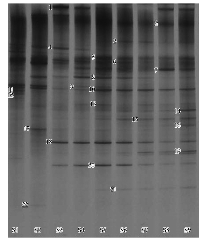 圖片關鍵詞 圖片關鍵詞