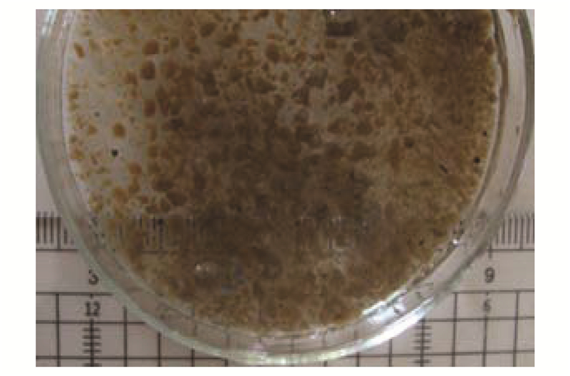 圖片關鍵詞 圖片關鍵詞