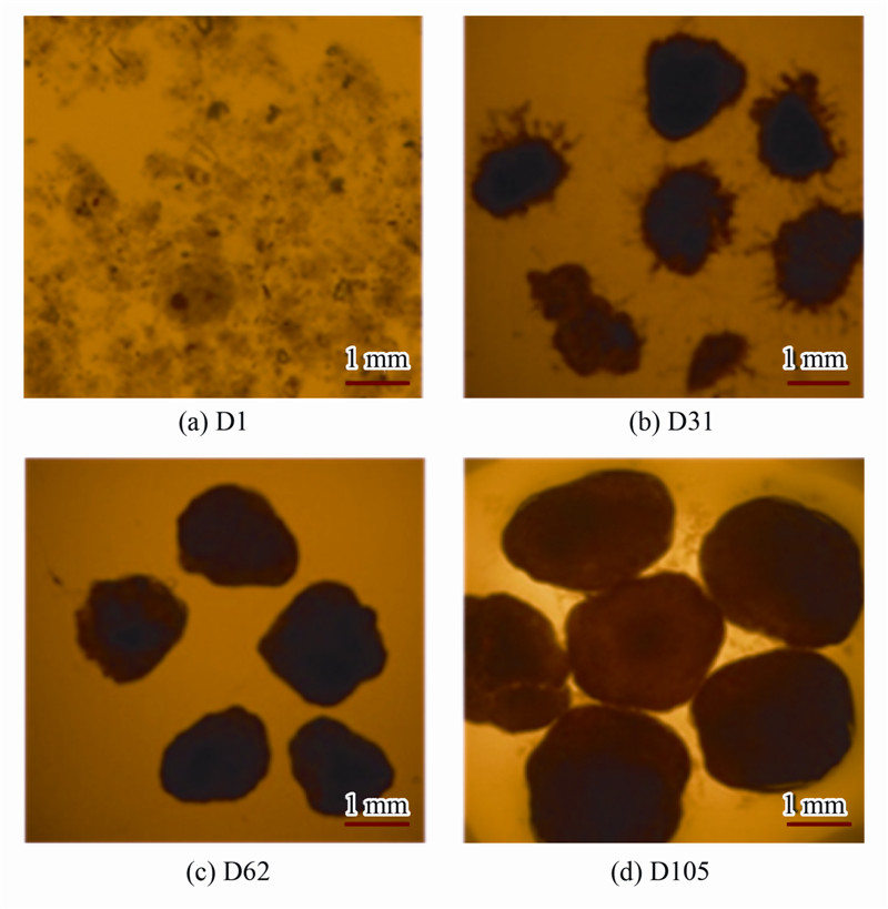 圖片關鍵詞 圖片關鍵詞