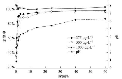 圖片關(guān)鍵詞 圖片關(guān)鍵詞