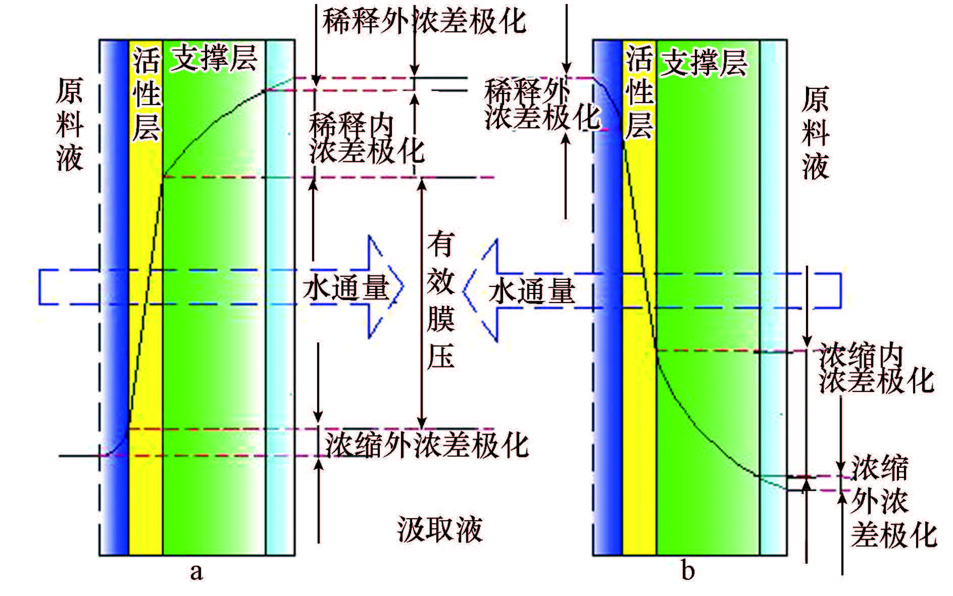 圖片關(guān)鍵詞
