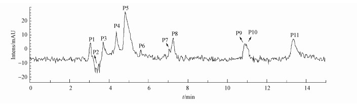 圖片關鍵詞 圖片關鍵詞