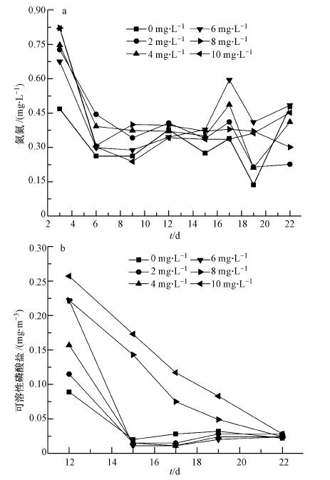圖片關鍵詞 圖片關鍵詞