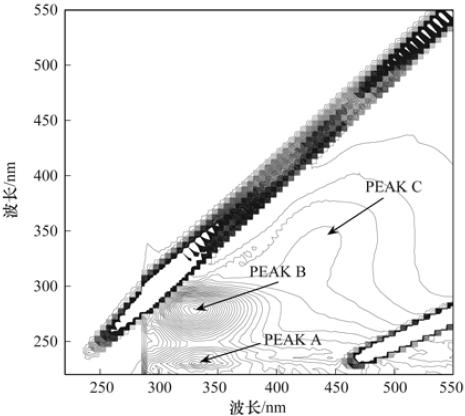 圖片關鍵詞 圖片關鍵詞