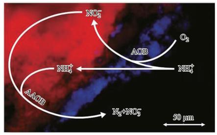 圖片關鍵詞 圖片關鍵詞