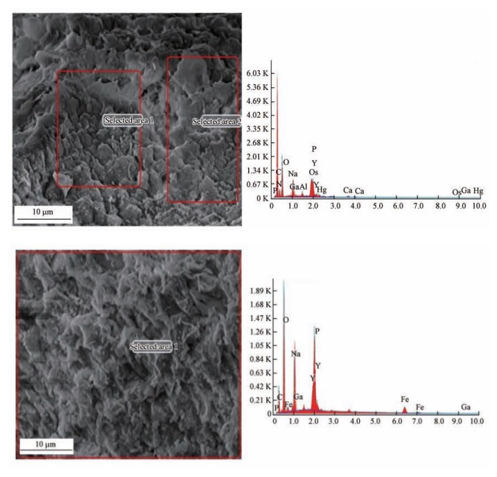 圖片關(guān)鍵詞 圖片關(guān)鍵詞