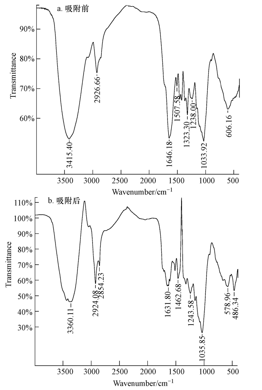 圖片關鍵詞 圖片關鍵詞