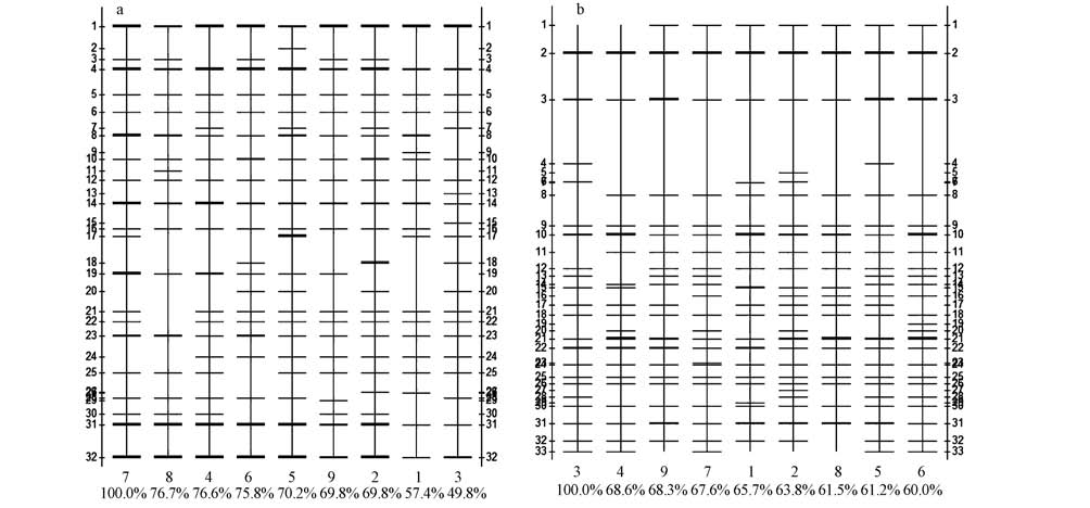 圖片關(guān)鍵詞 圖片關(guān)鍵詞