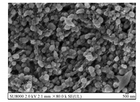 圖片關鍵詞 圖片關鍵詞