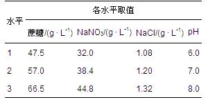 圖片關(guān)鍵詞 圖片關(guān)鍵詞