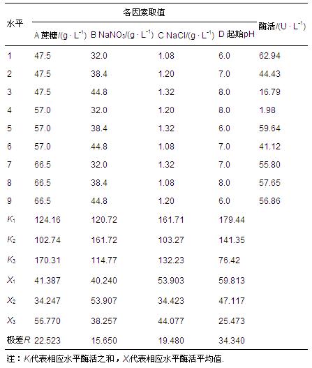 圖片關鍵詞 圖片關鍵詞