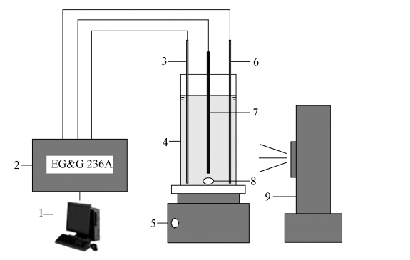 圖片關鍵詞 圖片關鍵詞
