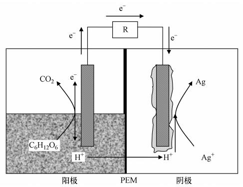 圖片關鍵詞 圖片關鍵詞
