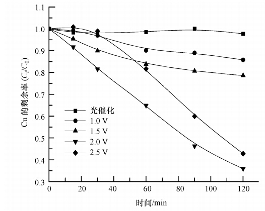 圖片關鍵詞 圖片關鍵詞
