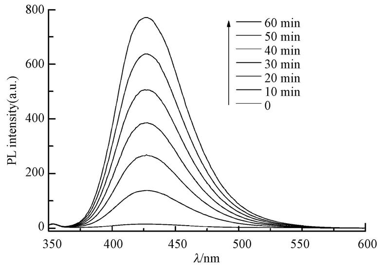 圖片關鍵詞 圖片關鍵詞