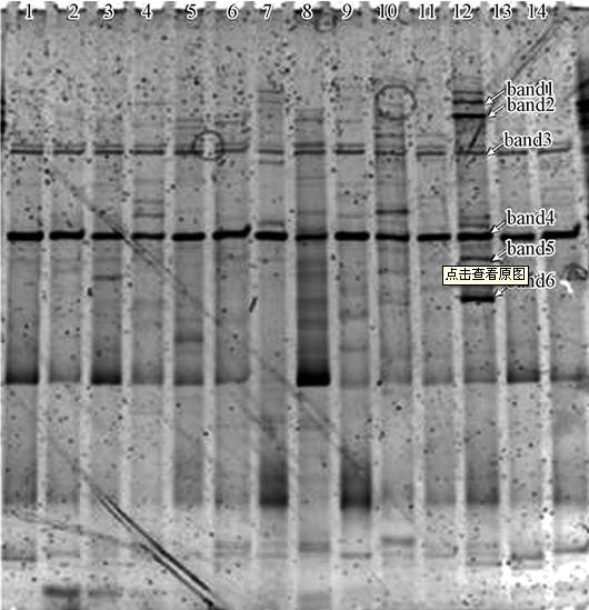 圖片關鍵詞 圖片關鍵詞