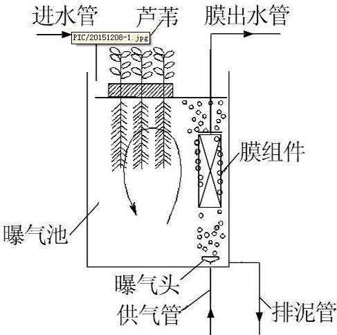 圖片關鍵詞 圖片關鍵詞