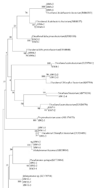 圖片關鍵詞 圖片關鍵詞